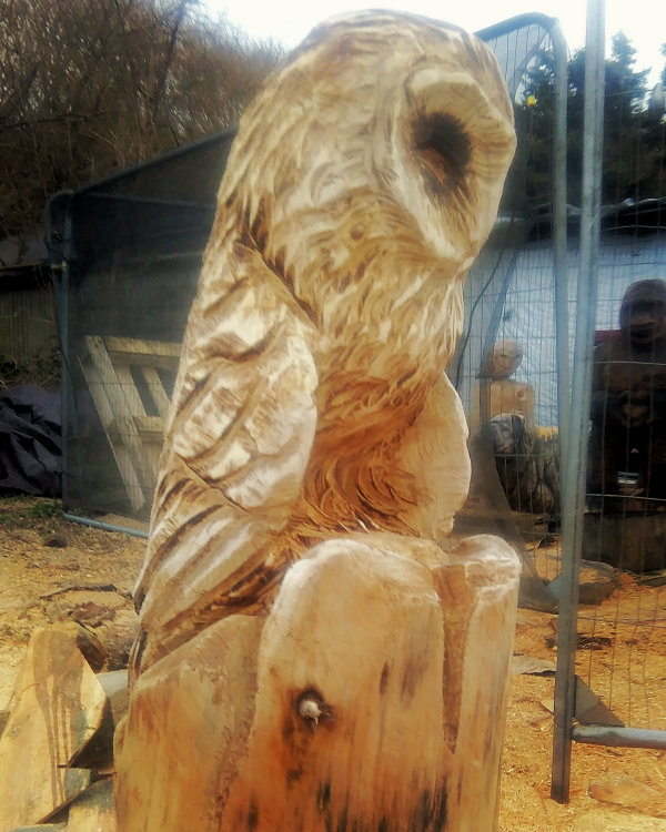 Owl chainsaw sculpture