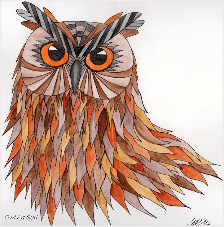 Owl drawing