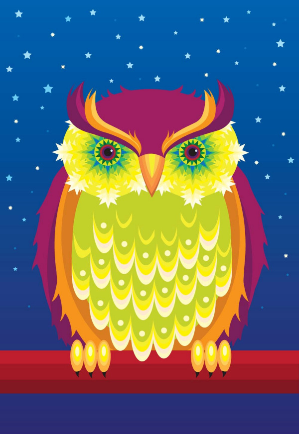 Owl illustration