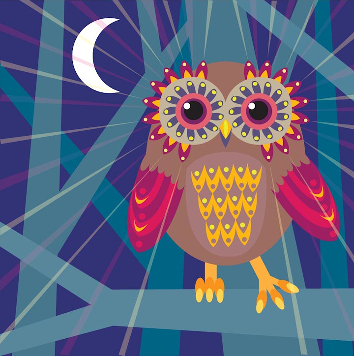 Owl illustration