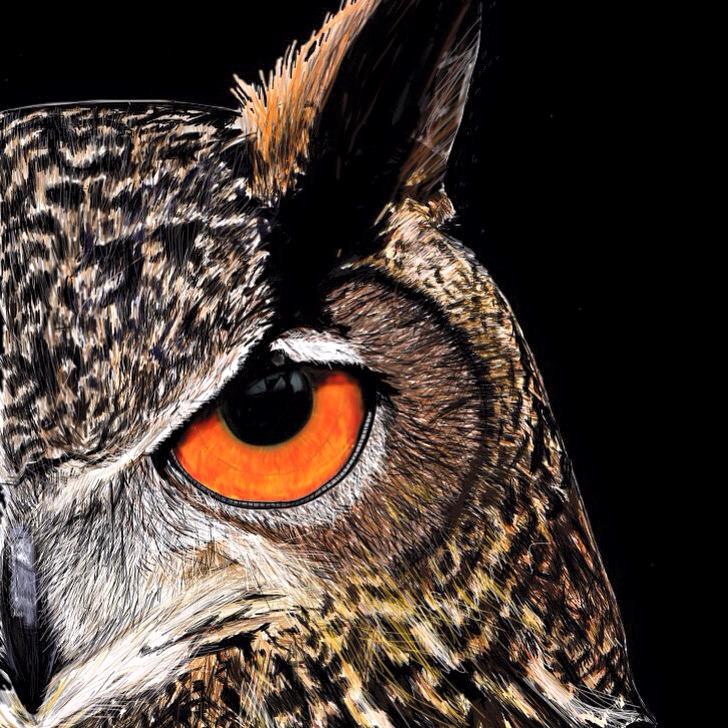 Eagle Owl digital art