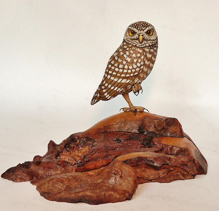 Burrowing Owl carving