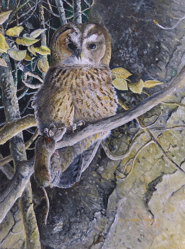 painting of a Tawny Owl