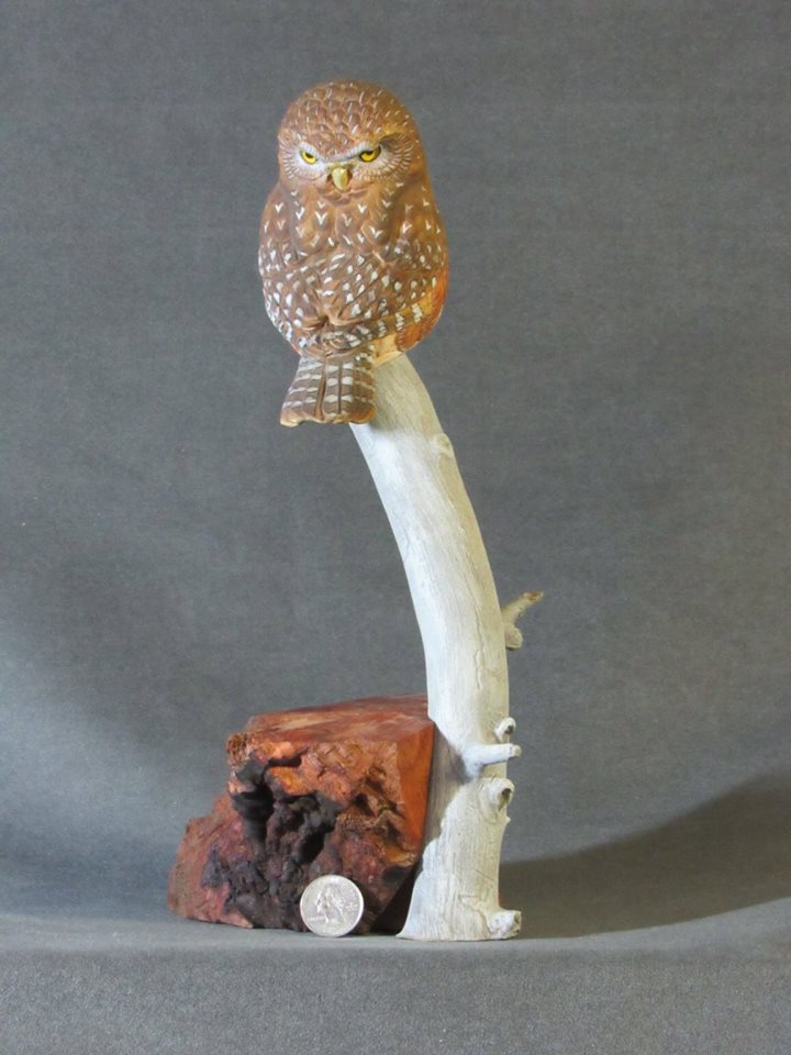 Northern Pygmy Owl Carving