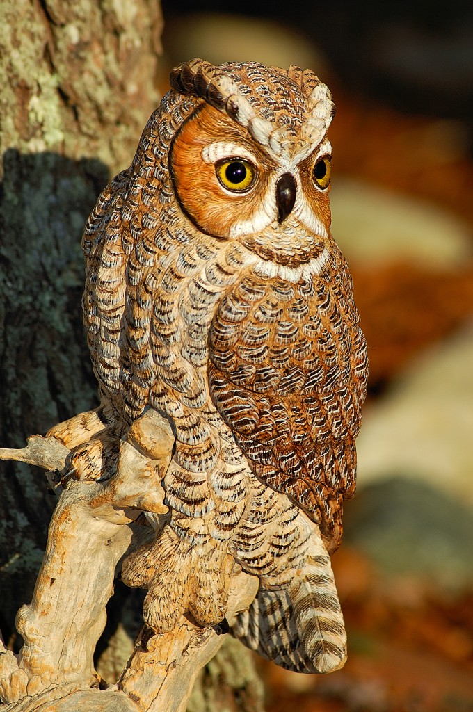 Great Horned Owl Carving