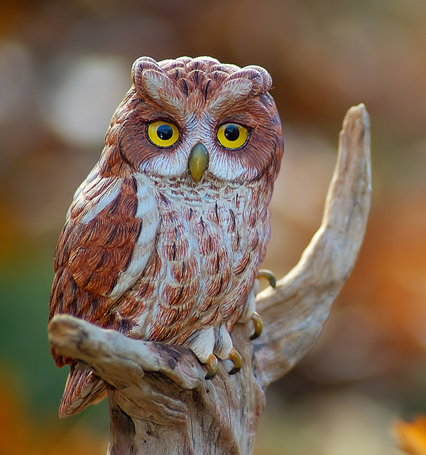 Screech Owl Carving