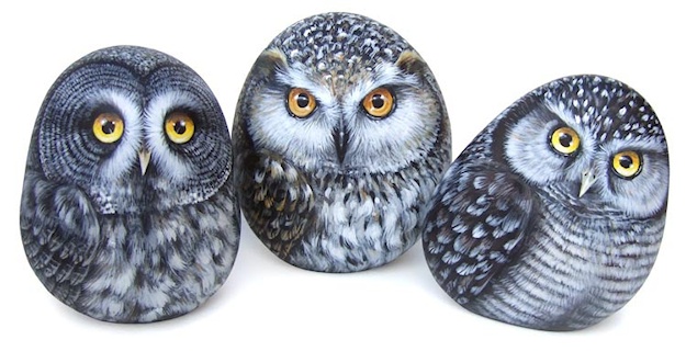 painted owl rocks