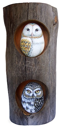 painted owl rocks