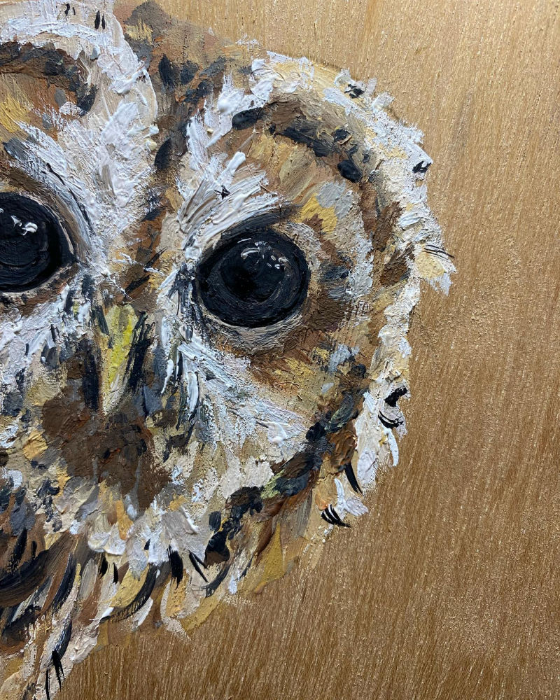 Tawny Owl painting