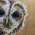 Owl paintings by Louise Ellwood Parker