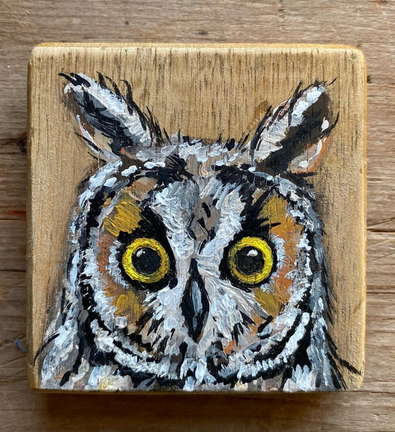 Long-eared Owl painting