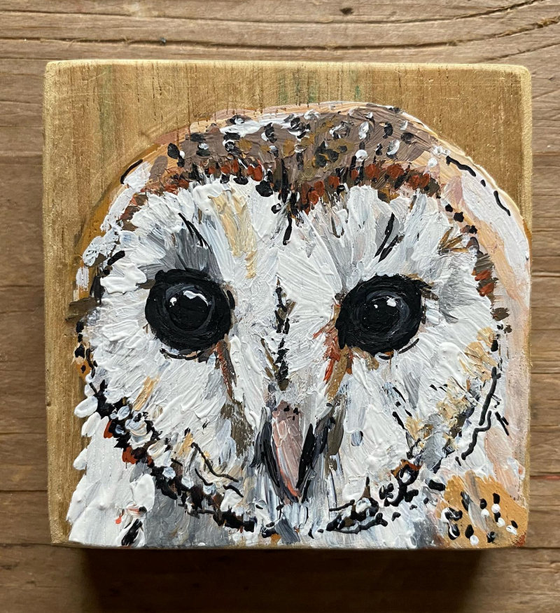 Barn Owl painting