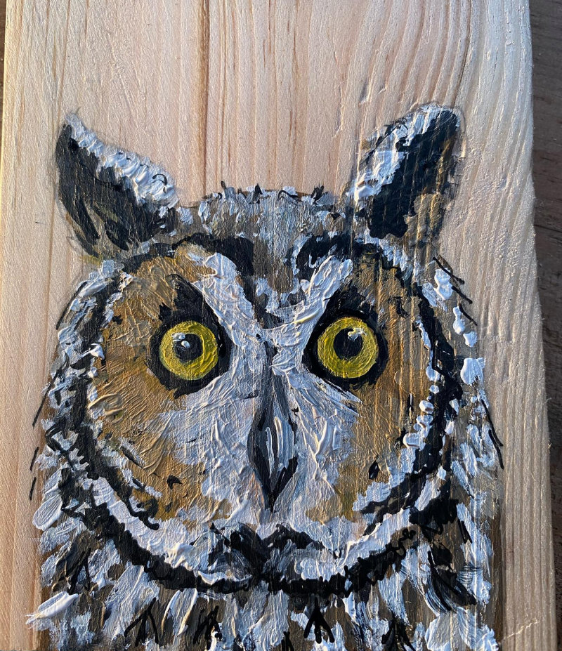 Long-eared Owl painting