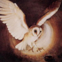 A Review of accounts of luminosity in Barn Owls <i>Tyto alba</i>