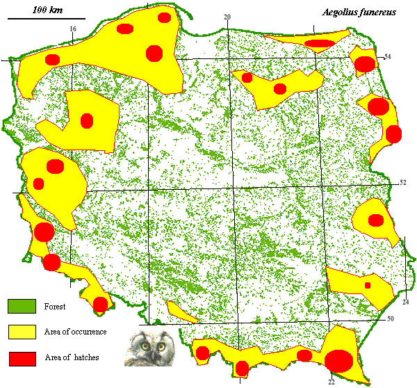 Tengmalms Owl map poland