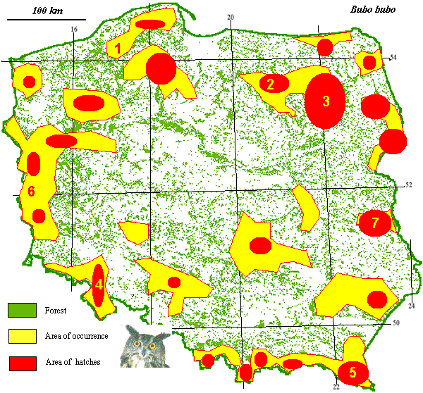 Eagle Owl map poland