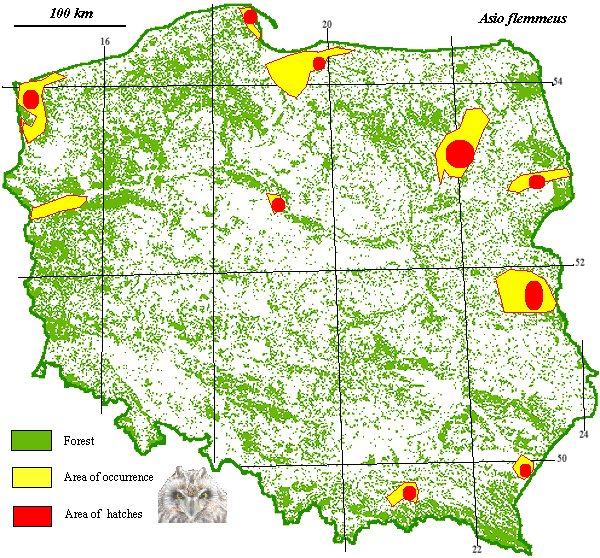 Short-eared Owl map poland