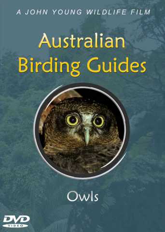 Australian Owls DVD