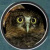 Short DVD Review: 'Australian Birding Guides: Owls' by John Young Wildlife
