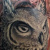 Owl Tattoos