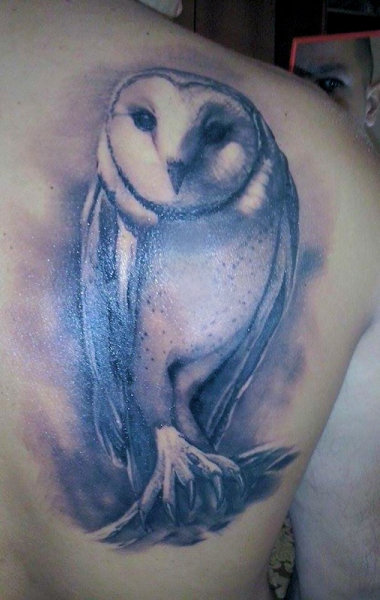 Barn Owl tattoo
