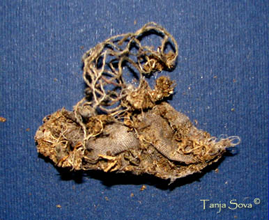 Cloth in Owl Pellet