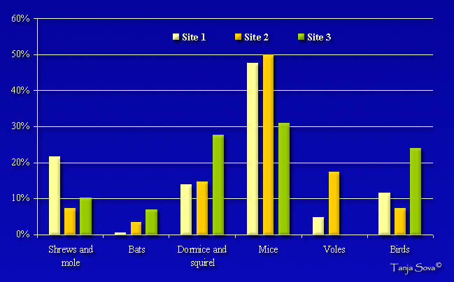 Tawny Owl Graph