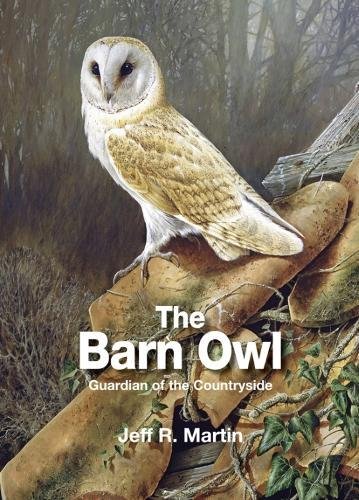Owl Book