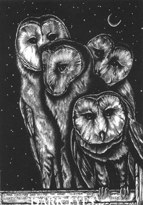 Owl Painting