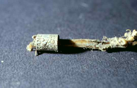 Tarsus of Turdus merula with Ring found in Long-eared Owl Pellet