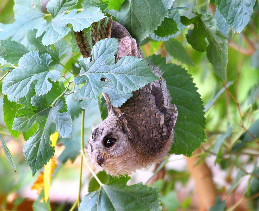 Just Hanging Around