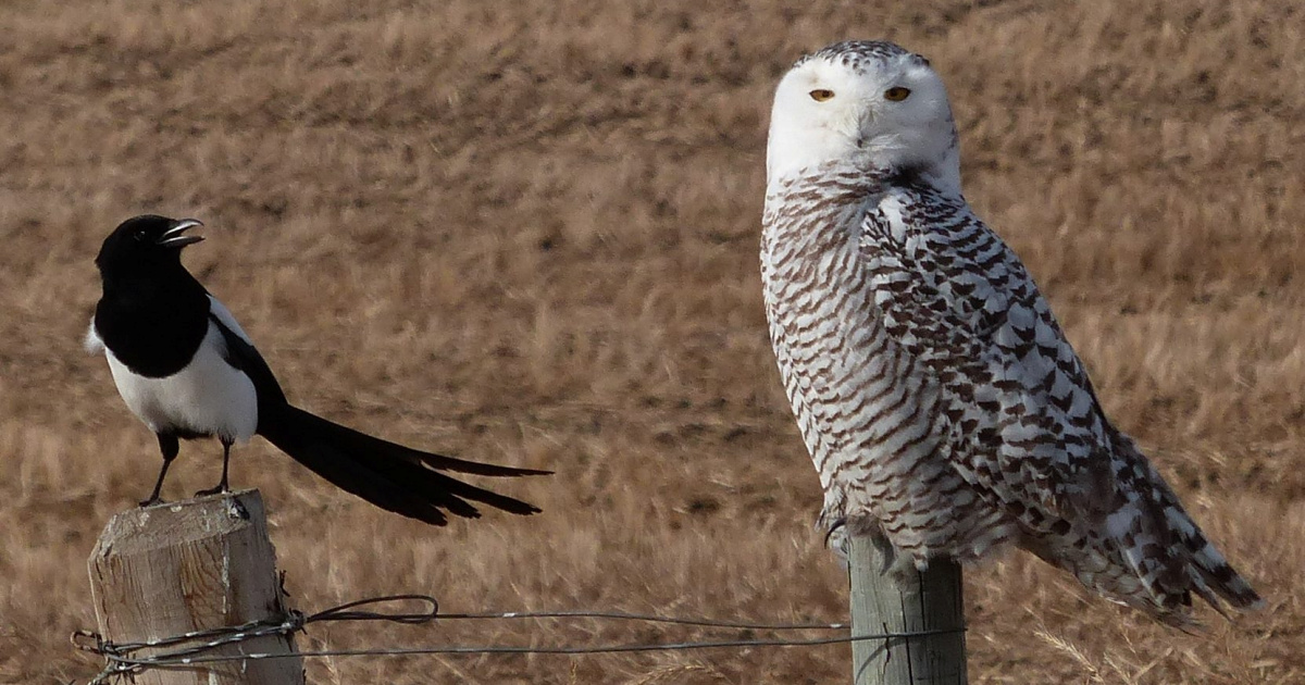 Is this post taken? - by Rob Borovsky