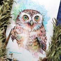 Owl - ORIGINAL watercolor painting 7.5x11 inches