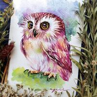Pretty Owl - ORIGINAL watercolor painting 7.5x11 inches