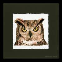 Framed Print: Great Horned Owl face