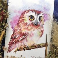 Owl - ORIGINAL watercolor painting, Hand paint 100%,7.5x11 inches