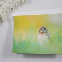 Burrowing Owl Note Cards, Set of 5 Bird Notecards, Blank Cards, Stationery, Greeting Cards, ...