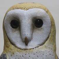 Barn Owl Realistic Wood Carving Sculpture