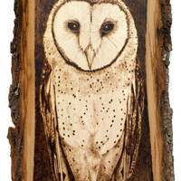 Barn owl wood art wall hanging bird lover gift