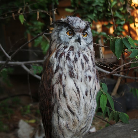 Artificial Wool Felting Eagle Owl - Handmade Needle Felted Owls Sculpture - Fancy Birds For Office/Home Decor - Unique Fiber Art Collection