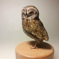Little owl sculpture, tiny jewelry box, gift for owl collectors, wooden owl figurine, owl ar...