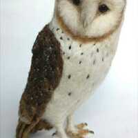 Needle felted Barn owl sculpture