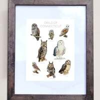 Owls of Connecticut- Print of 8 Owl Oil Paintings