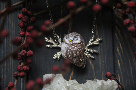 Boreal Owl With Juniper Necklace