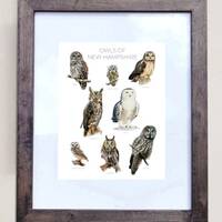 Owls of New Hampshire- Print of 8 Owl Oil Paintings