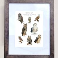 Owls of Rhode Island- Print of 8 Owl Oil Paintings