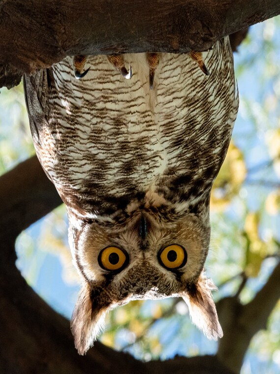 What's Up Down There?
