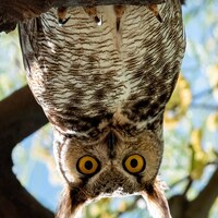 What's Up Down There?