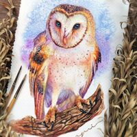 Barn Owl - ORIGINAL watercolor painting 7.5x11 inches