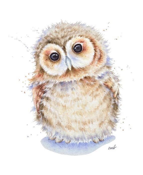 Baby Tawny Owl watercolor painting Print